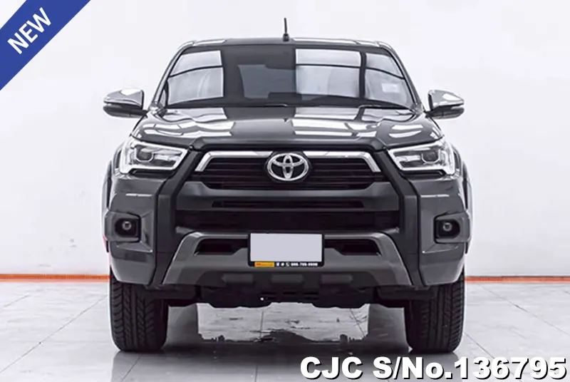 Toyota Hilux in Gray for Sale Image 2