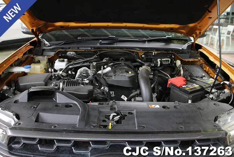 Ford Ranger in Yellow for Sale Image 13