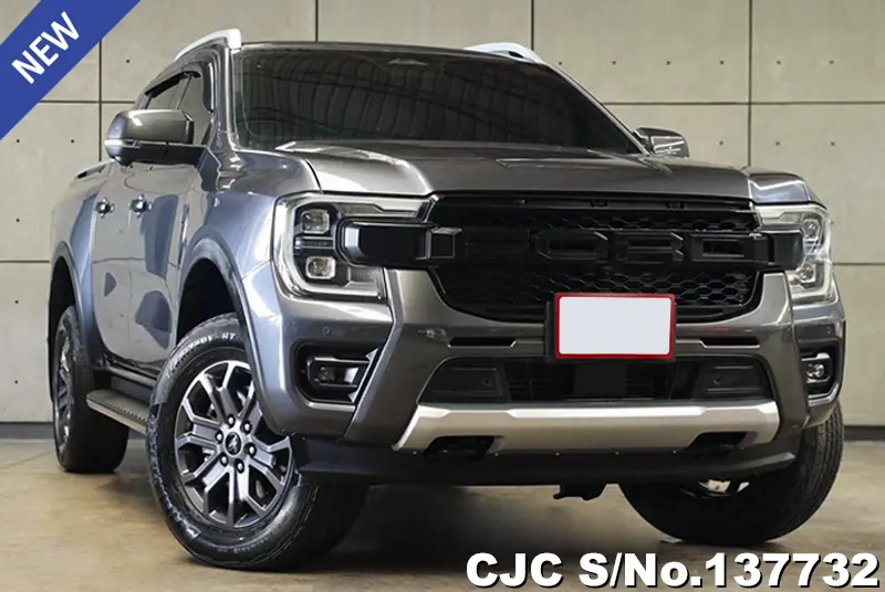 Ford Ranger in Gray for Sale Image 0